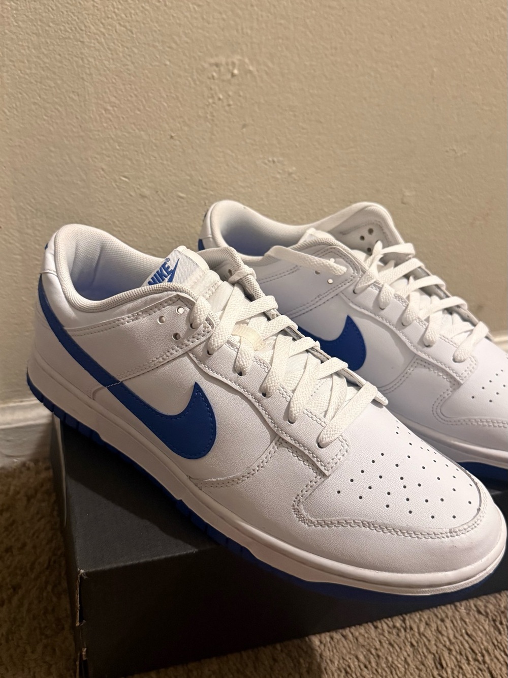 Nike White and Blue Low-Top Athletic Sneakers